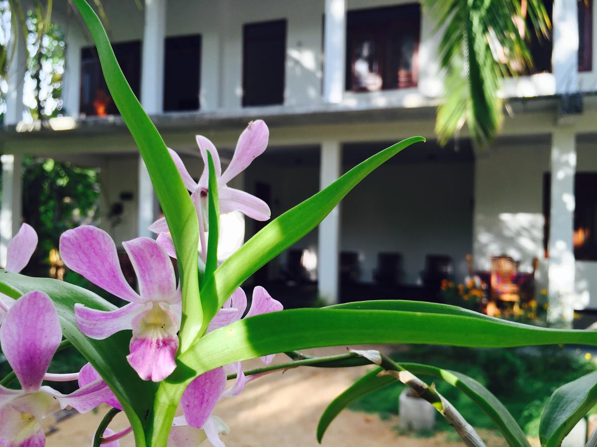 Sigiri Rainbow Lodge Sigiriya Exterior foto